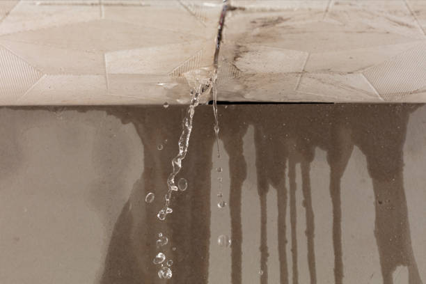 Professional Flood Damage Cleanup technician working in Surveyor, WV